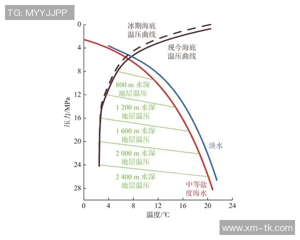 姚明河基因研究揭示运动员遗传特征与训练效果的深层关系