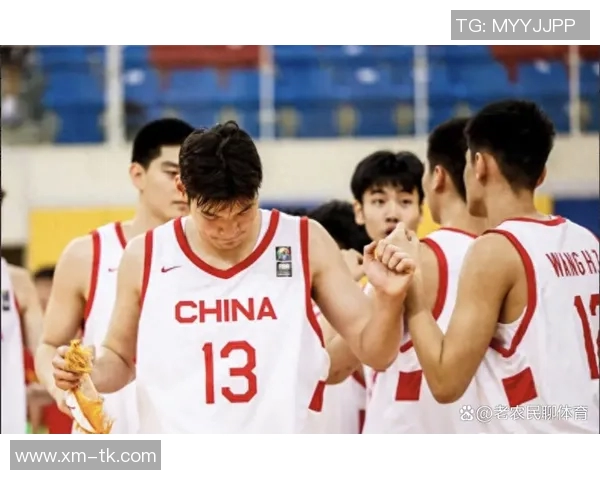 中国男篮与捷克精彩对决录像回放全程分析与精彩瞬间回顾 中国男篮与捷克精彩对决录像回放全程分析与精彩瞬间回顾