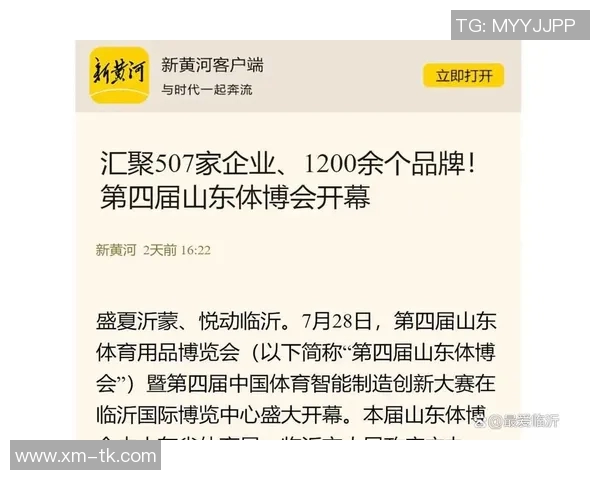 探索全球知名体育用品品牌的创新与发展趋势分析